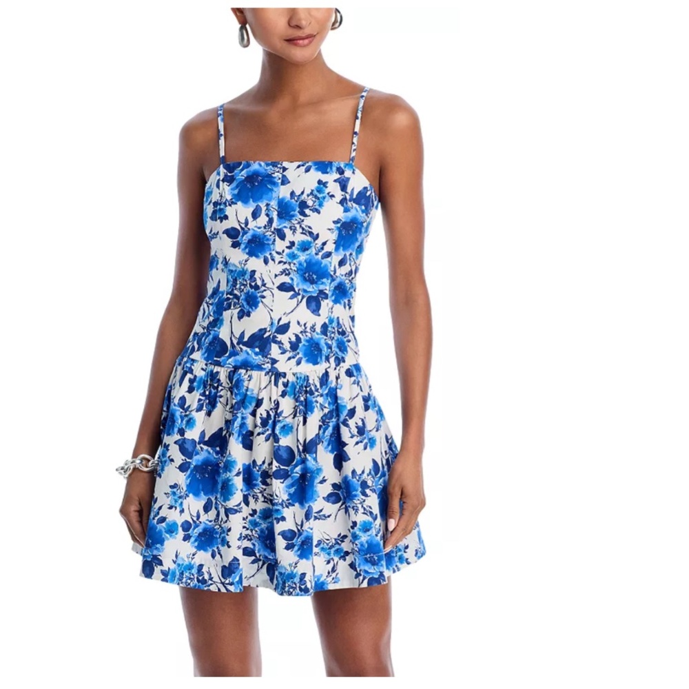 Aqua Fit and Flare Poplin Mini Dress in White and Blue